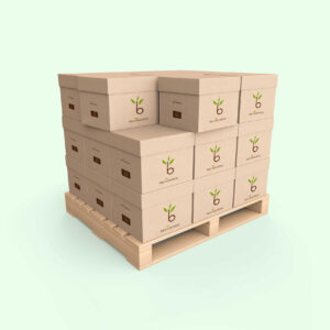 www.bioebamboo.com
