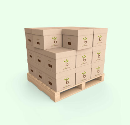 www.bioebamboo.com